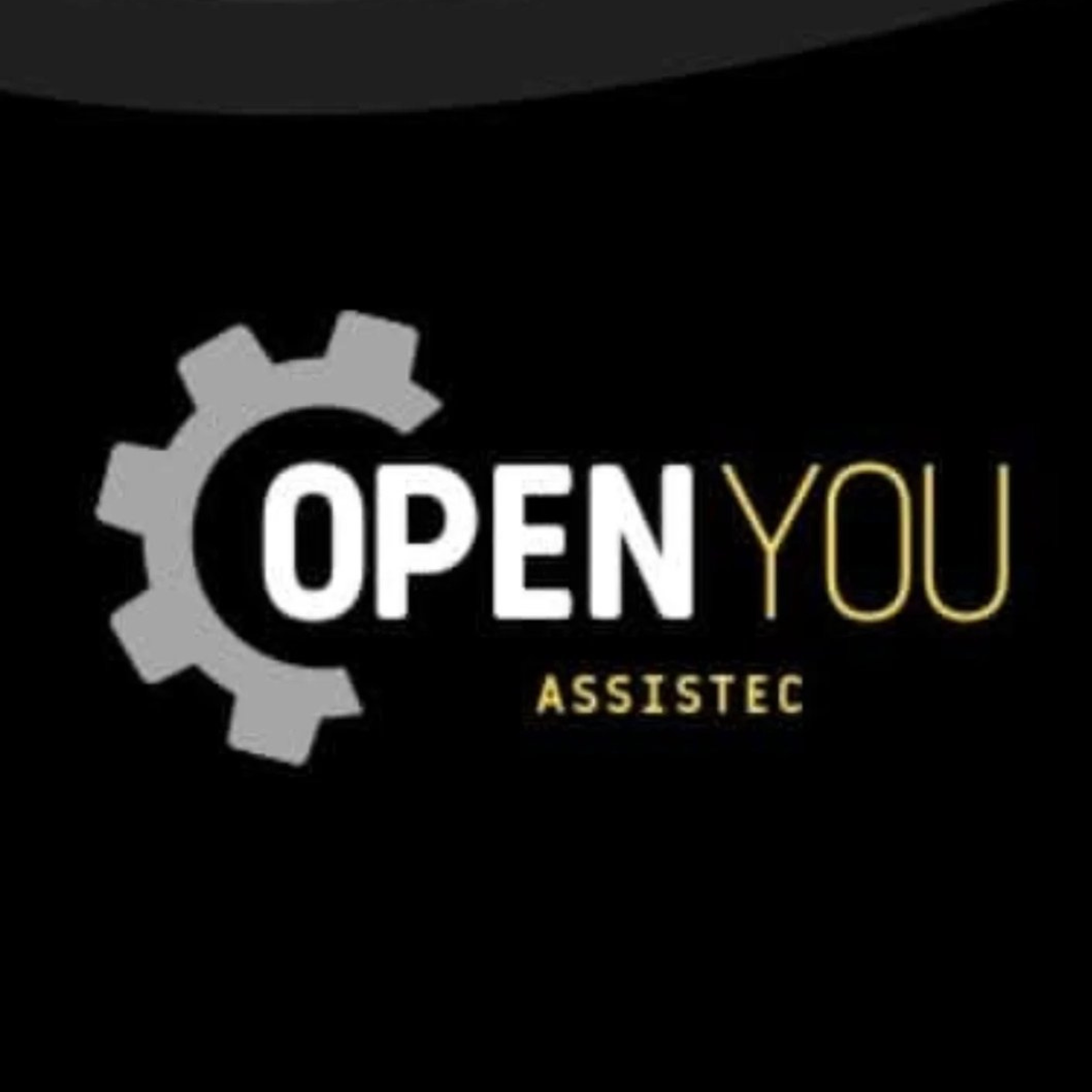 Open You Assistência Técnica